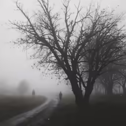 a road surrounded by grass with fog covering it