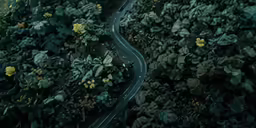 a winding road surrounded by trees and flowers