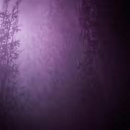 a night scene with trees, fog and stars