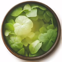 a brown wooden bowl holding green leaves