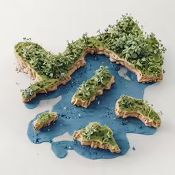 some food is in the shape of an island