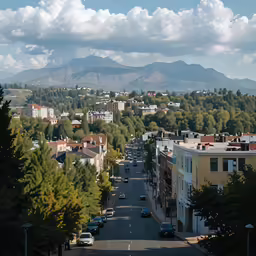 a road leading through some trees in the middle of a town