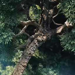 the trunk of a tree with green foliage