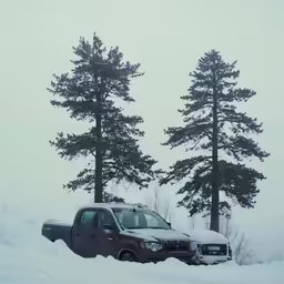 a car is stuck in deep snow between two trees