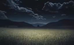 the night sky above a grassy field with a tree