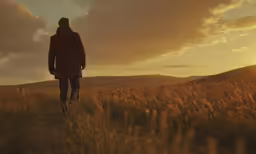 a person standing in the middle of a wheat field