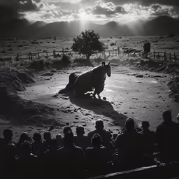 a cow running through a desert while people watch