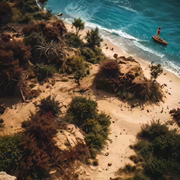 people paddling in an outrigger on a beach