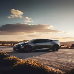 a brown and black car on a road surrounded by grass