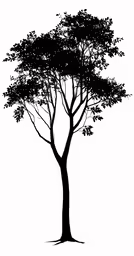a tree silhouette on white background with leaves