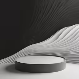black and white photograph of a circular plate with wavy patterns