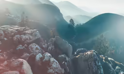 an aerial view of a mountain valley with trees on the rocky slopes