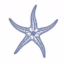 a blue starfish on white