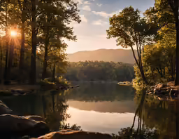 the sun setting over a river with forest in the background
