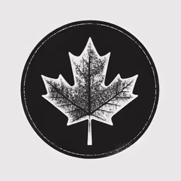 a picture of a leaf that is on the ground