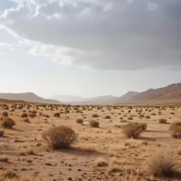 a view of a very wide desert with some scrub brush in the foreground