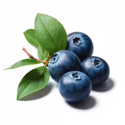 four berries are placed together on a white background