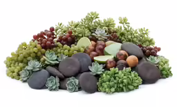 a close up of a group of different types of fruits and vegetables