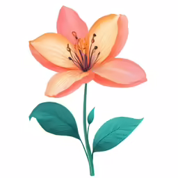 a single pink flower with green leaves