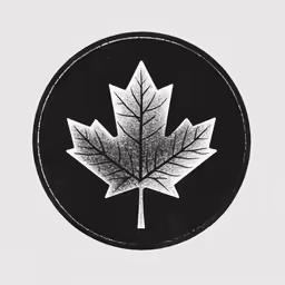 the maple leaf in black and white