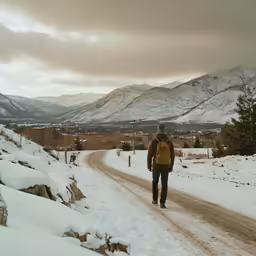 a person walking in the snow in the road