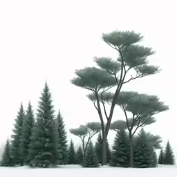 trees are standing alone in a snowy landscape