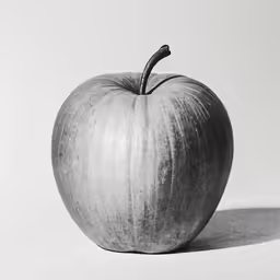 an apple is shown on the ground in black and white