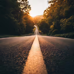 a road is shown with trees on the sides