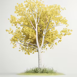 the drawing shows the white trees in bright yellow colors
