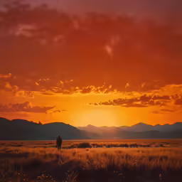 a man standing on a field with the sun setting behind him