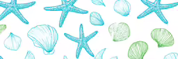 several sea stars on a white background