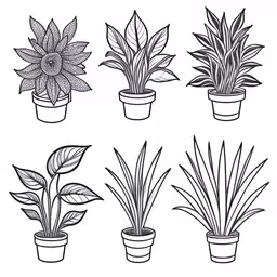 four plants in pot illustrations on white background,different house plants with small potted flowers