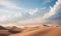a landscape of a desert with clouds, sand and trees