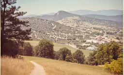 a scenic view of the mountains, trees, and a dirt road
