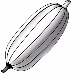 an illustration of a squash vegetable,a balloon with some lines on it