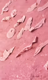 some white and pink paint spilled on the ground