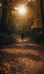 person walking down a road surrounded by trees