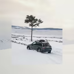 a suv driving on a snowy road near a tree