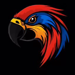 a brightly colored bird on a black background