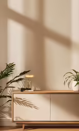 plants and lamps on an white sideboard with light from window