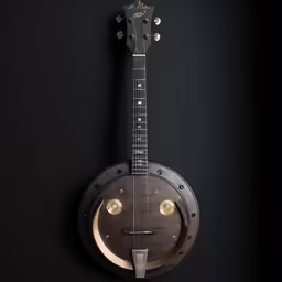 a dark instrument is sitting on the wall