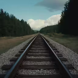railroad track leading through trees on a sunny day