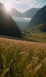 a field with mountains in the background