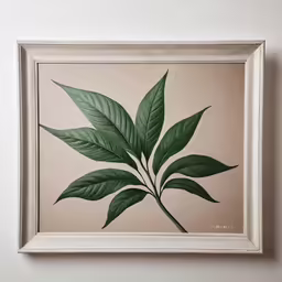 the green leaves in the picture are on display