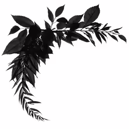 some leaves are arranged and a white background