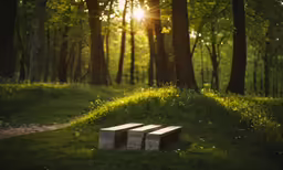 some small blocks sitting in a field next to a forest