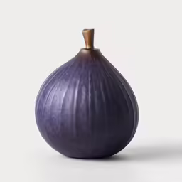 an onion is photographed in this undgesize image