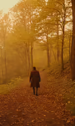 a person walks down a path in the woods