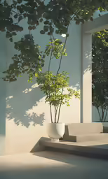 this is a potted plant by the steps