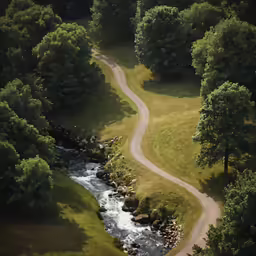 a winding road in the forest next to a river